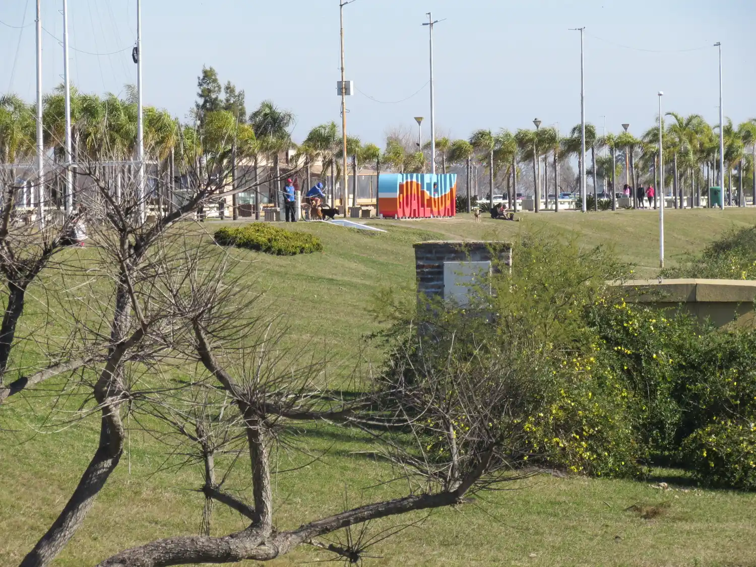 Coronavirus: 31 positivos nuevos en Gualeguay