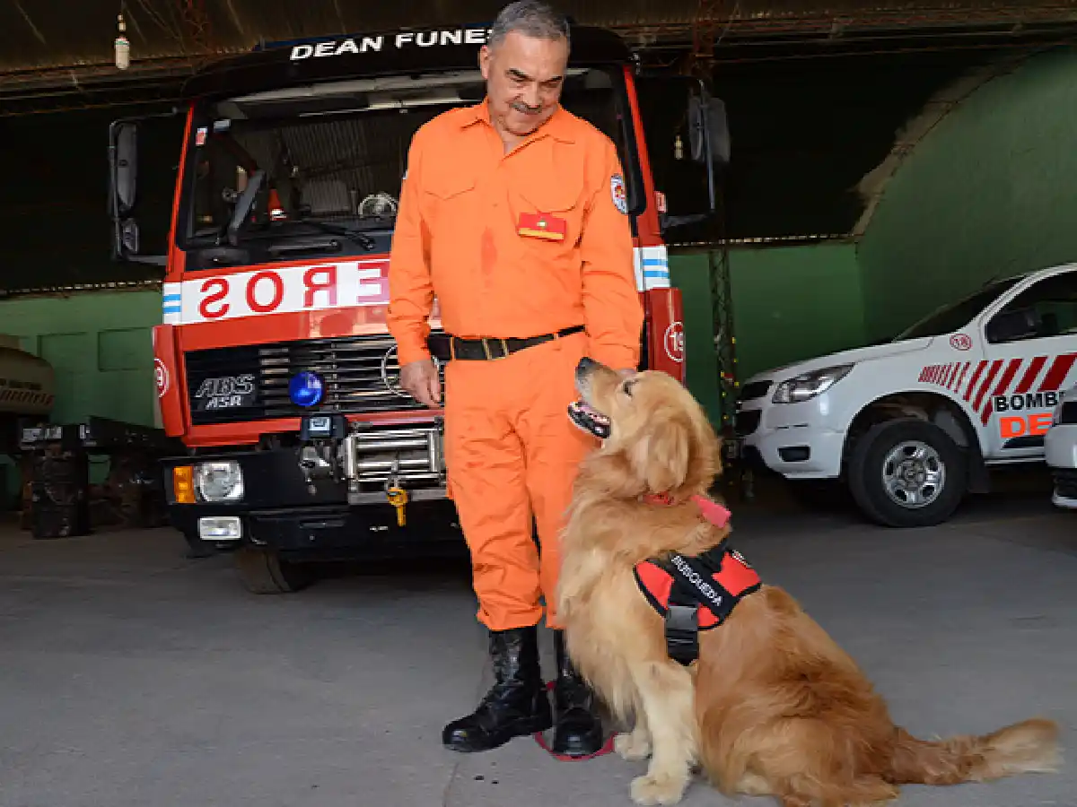Toby, de perro rebelde a rescatista profesional