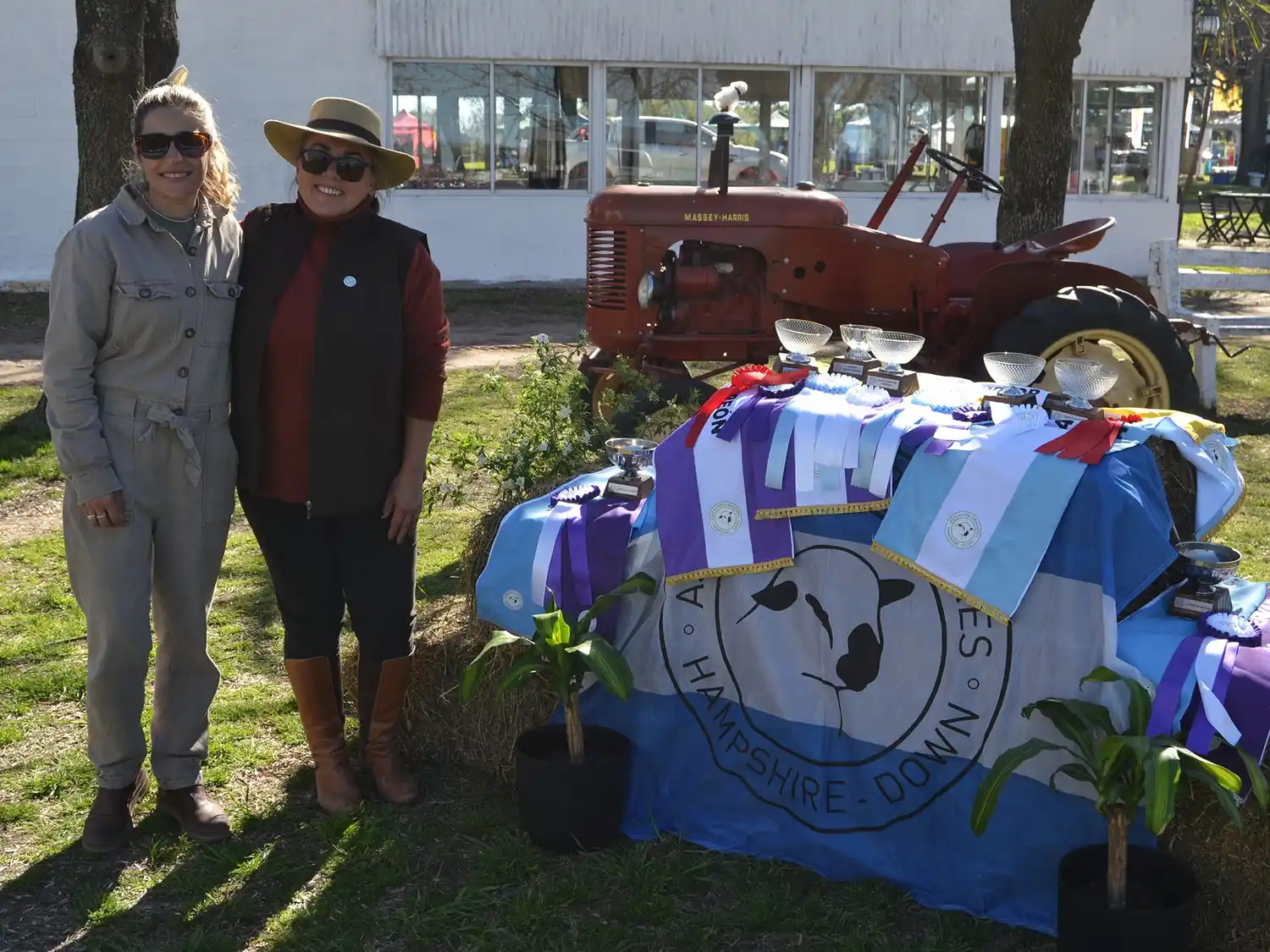 La raza Hampshire Down brilló en el primer día de la Expo Rural 2025