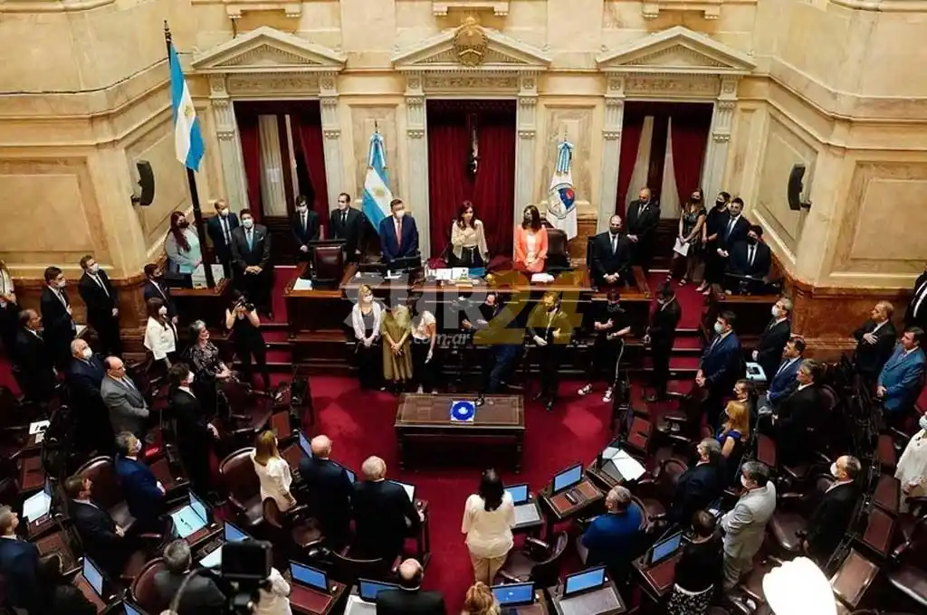Asumieron los senadores nacionales electos: la conformación de la Cámara alta