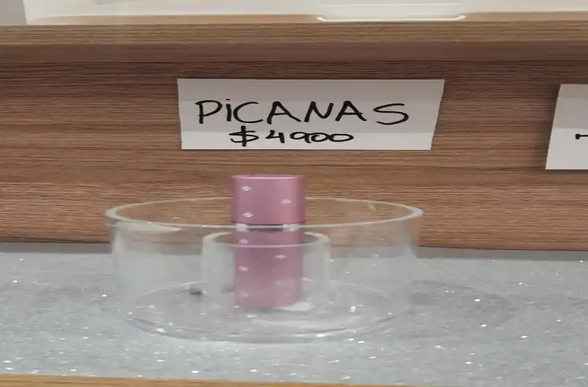 Polémica por la venta de picanas eléctricas y gas pimienta en comercios de Rosario