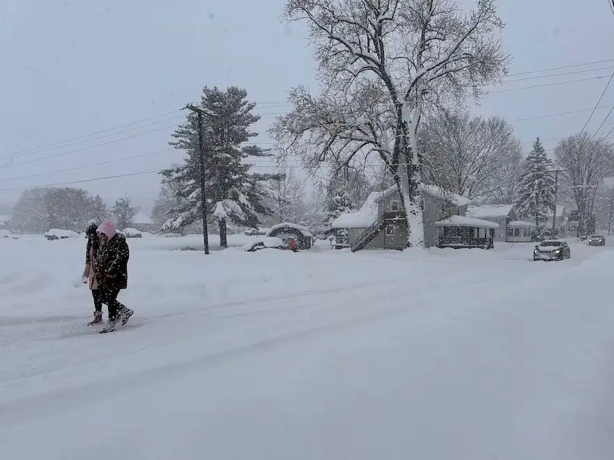nieve
