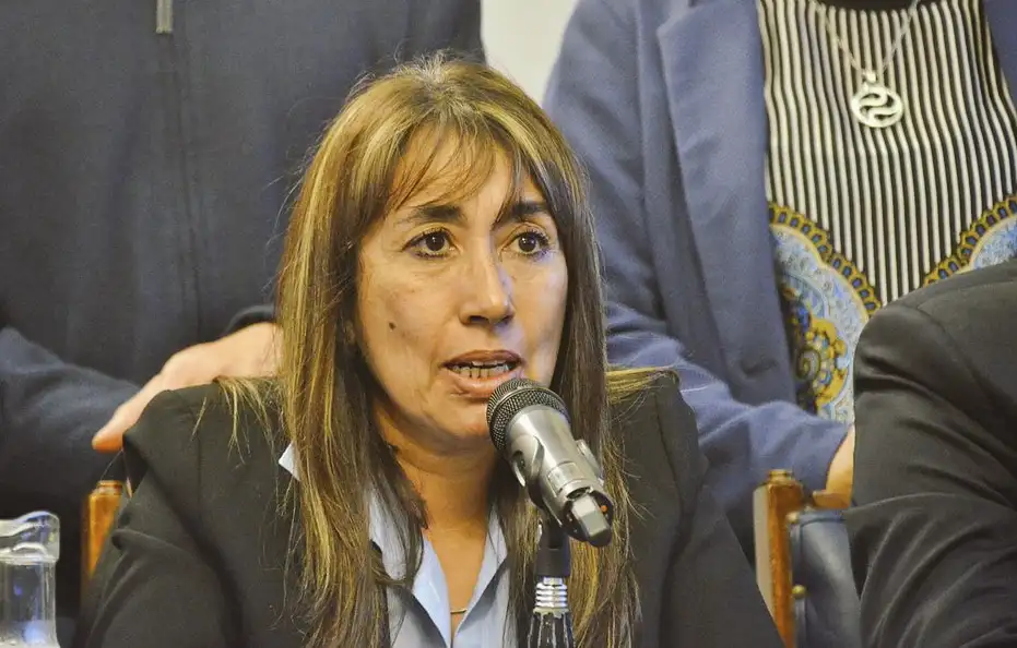 Diputada Roxana Reyes, designada representante de la segunda minoría ante el Consejo de la Magistratura de la Nación.