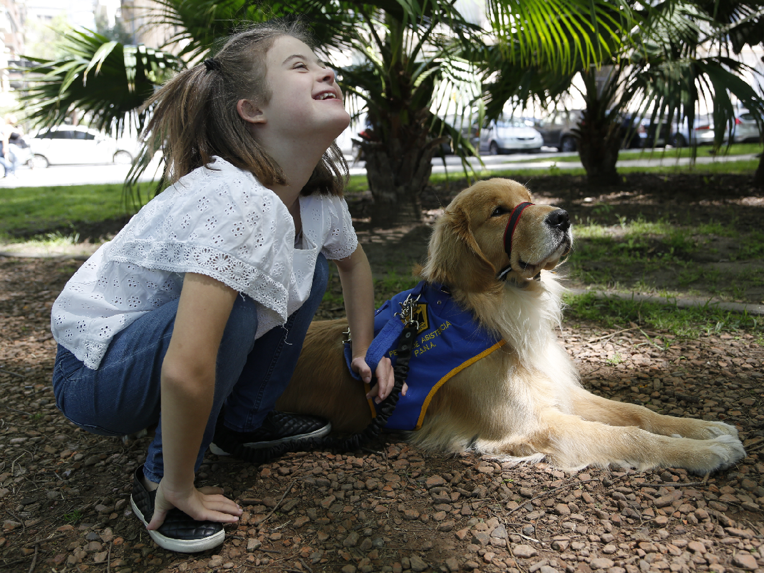 La historia de Elena y Melón,  uno de los 42 perros de asistencia  que entregó Bocalán en 10 años 
