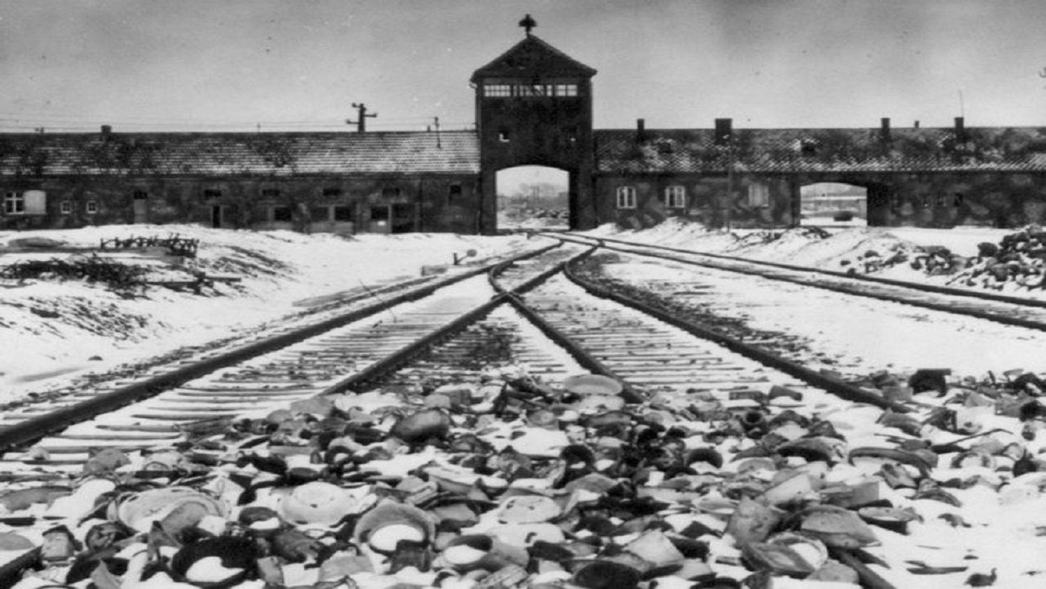 A 80 años de la liberación de Auschwitz-Birkenau: el mundo   honra a las víctimas del Holocausto