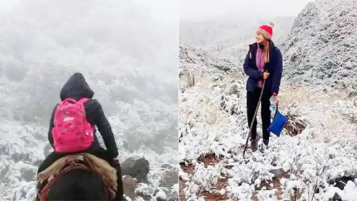Docentes hacen 20 kilómetros en mula para dar  clases y esta semana fue con nieve
