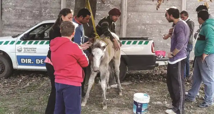 Es mujer y se llama Milagros Tana