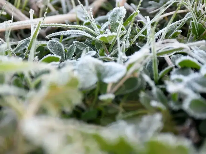 El frío seguirá este domingo, con heladas matinales. Crédito: Flavio Raina