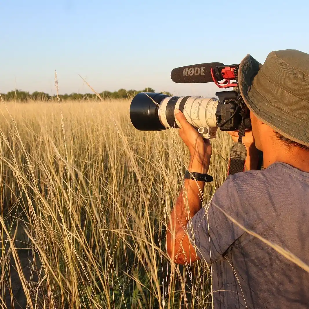 Se conocieron los resultados del Día Mundial de Observación de Aves
