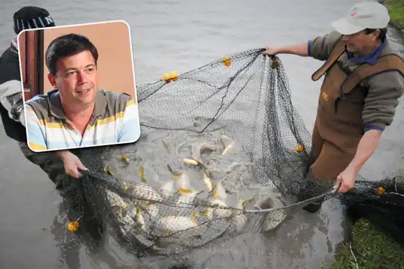 Santa Fe suspendió por un año el acopio de pescado para exportación: ¿qué implica?