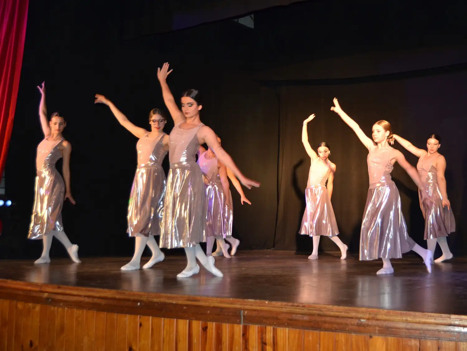 danzas vc