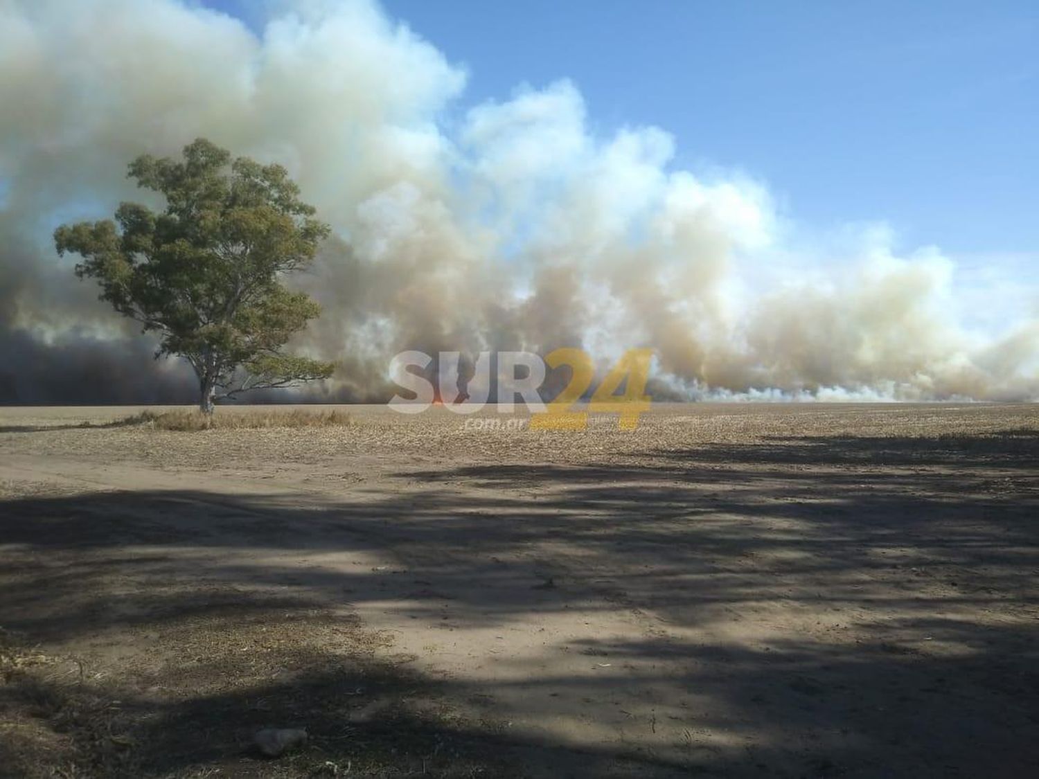 Seguidilla de salidas para Bomberos: tres accidentes y cinco incendios en Venado y la región