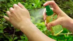 Aerosol, gel o crema: la efectividad de los repelentes es la misma