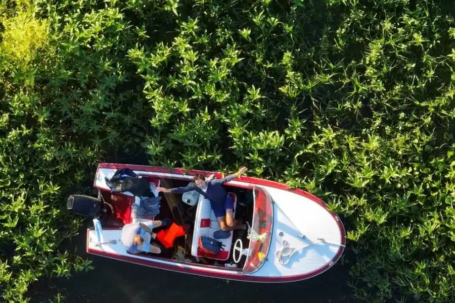 Las lluvias frenan pero no detienen el descenso del río Paraná en Santa Fe