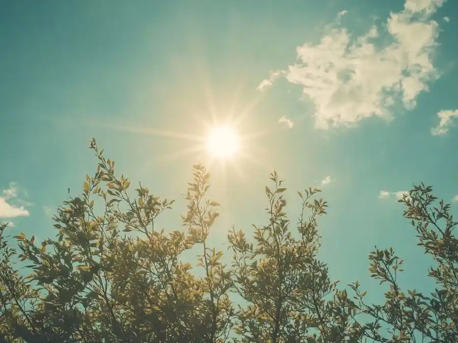 Se produjo a las 6:01 de la mañana.