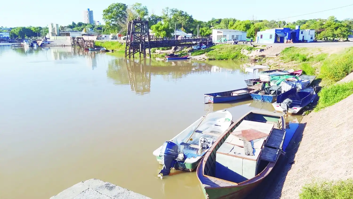 La bajante impactó negativamente en la pesca comercial