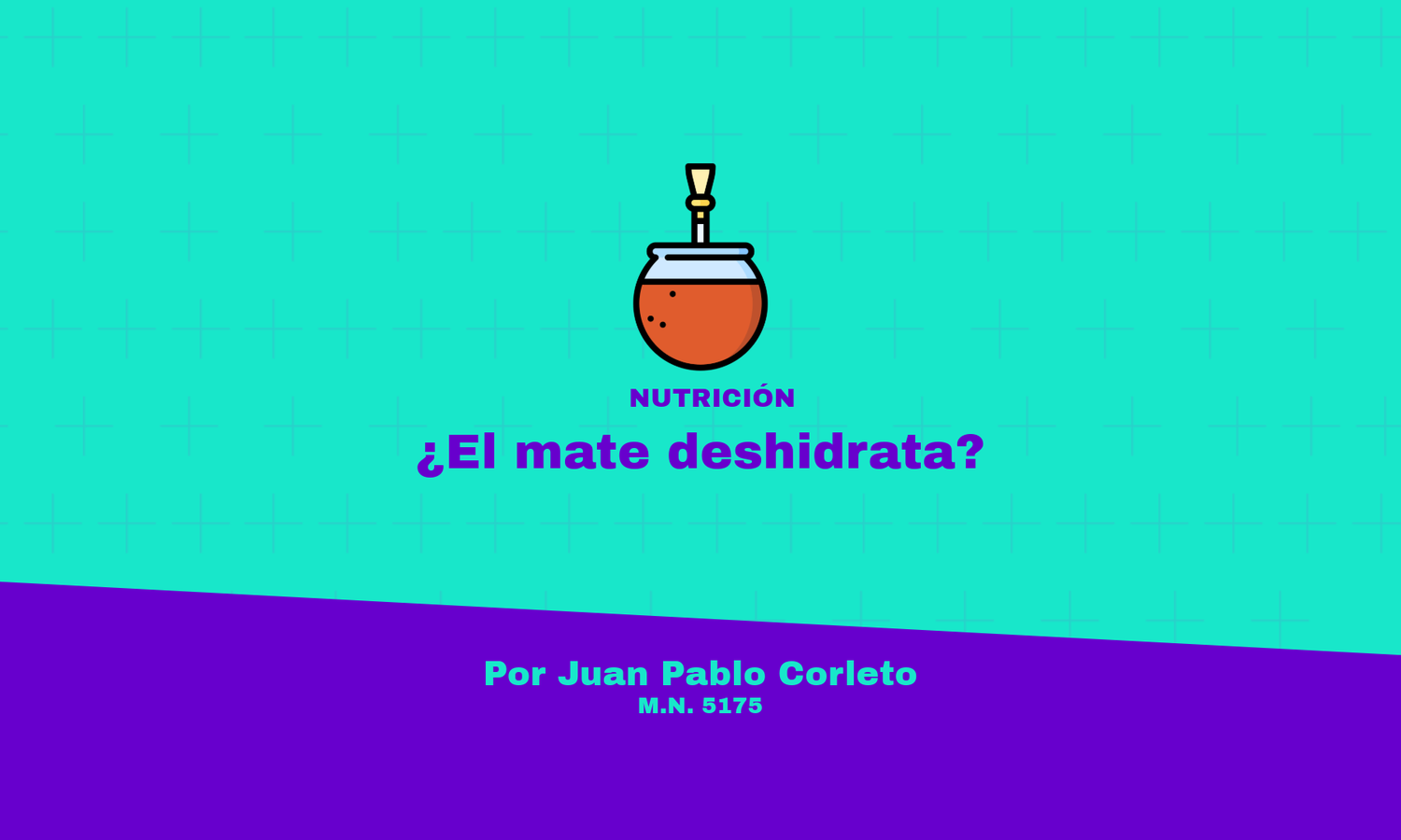 Mate e hidratación: Desmitificando las propiedades de un legado ancestral