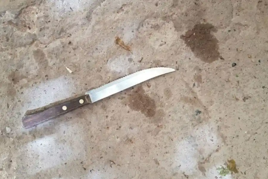 Suelto por la ciudad con dos cuchillos en su cintura