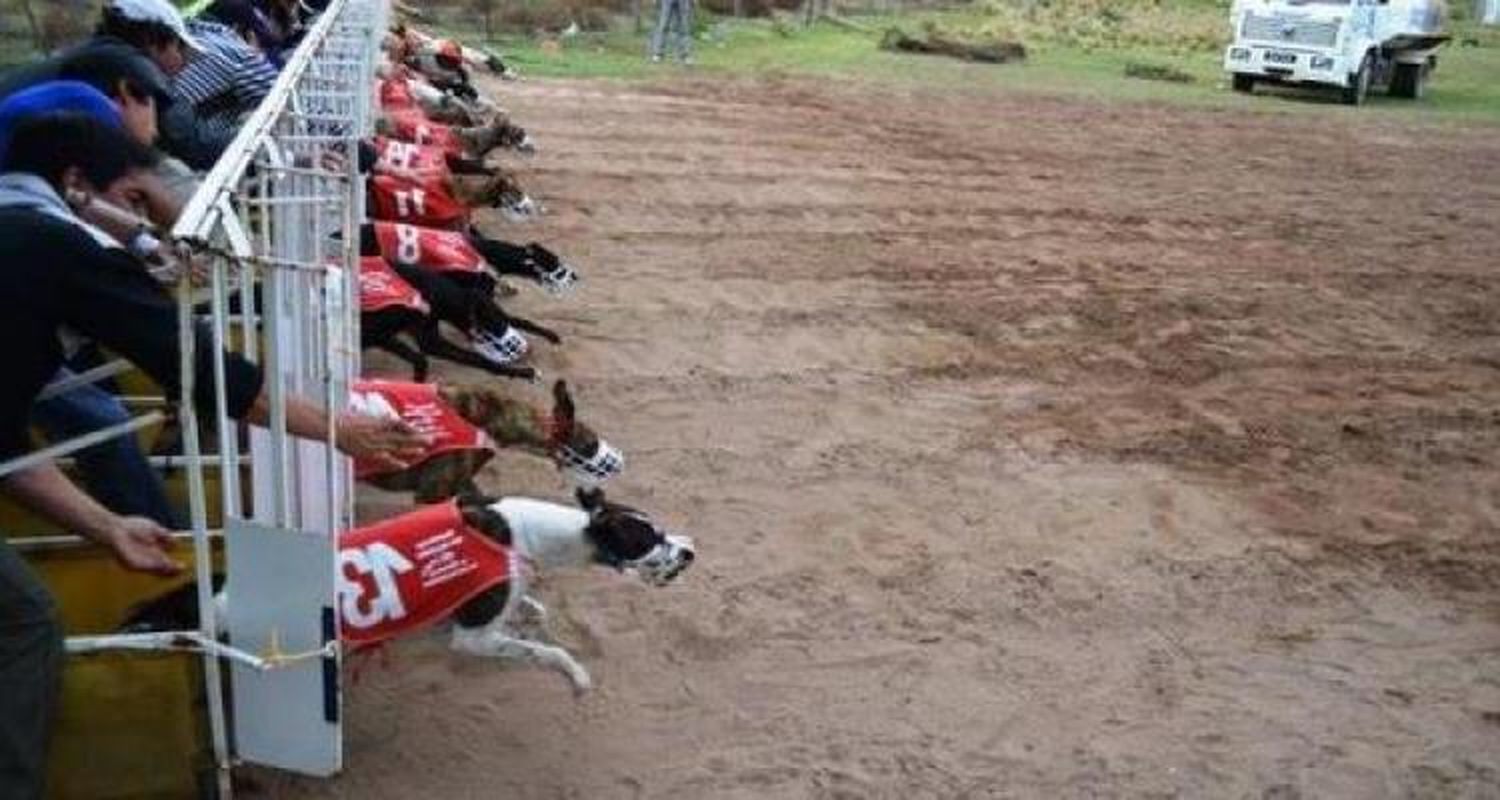Quejas por posibles carreras de galgos en San Pedro