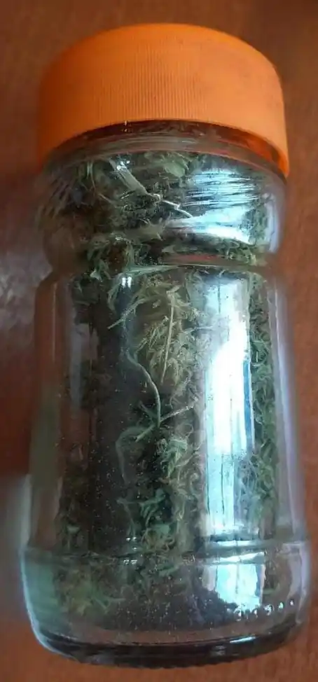 Operativos simultáneos en la región: secuestraron marihuana, municiones, un vehículo y hay dos aprehendidos - 2