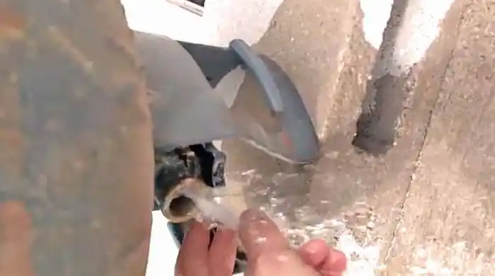 Insólito: Denuncian que en Junín rellenan las garrafas con agua