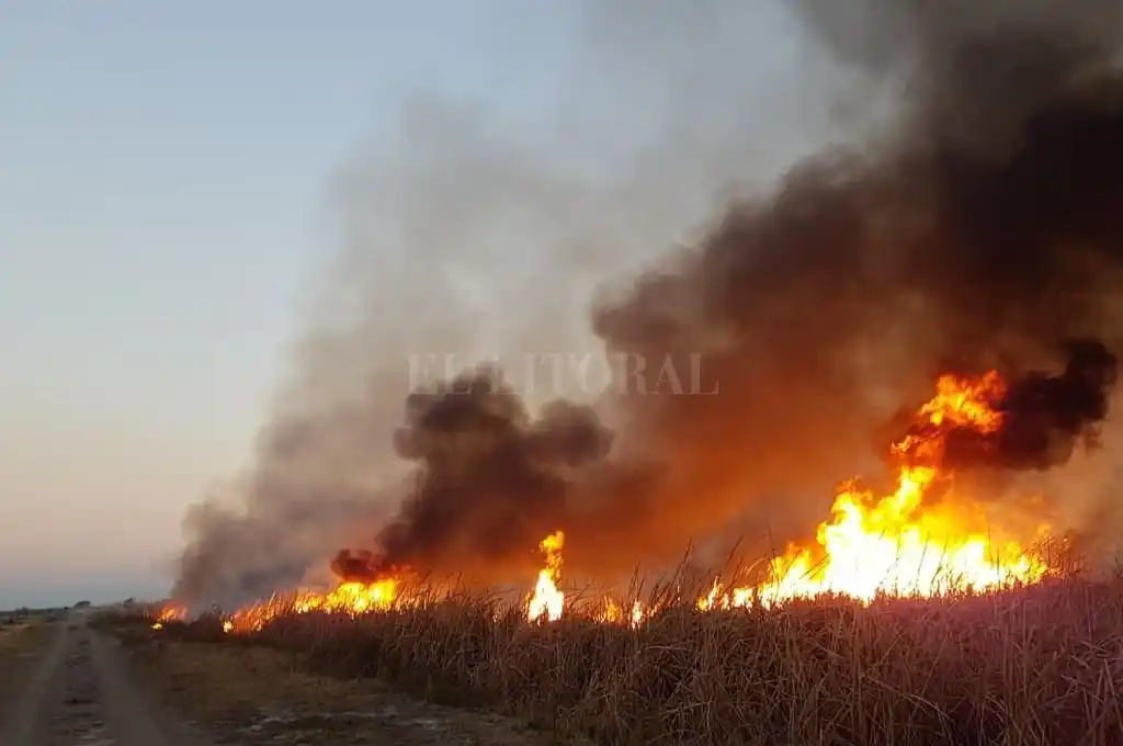 Denuncian la quema intencional de un campo
