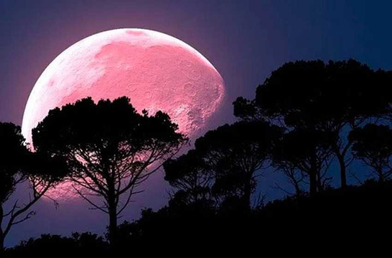 La superluna rosa será la más grande del 2020: ¿Por qué se llama así?