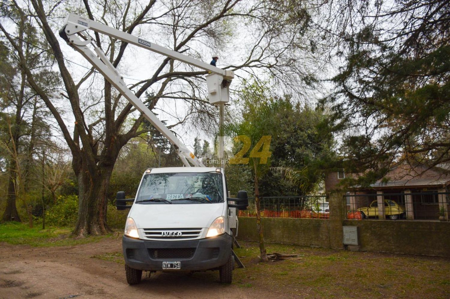 Las cuadrillas municipales intensifican trabajos de poda y desmalezado