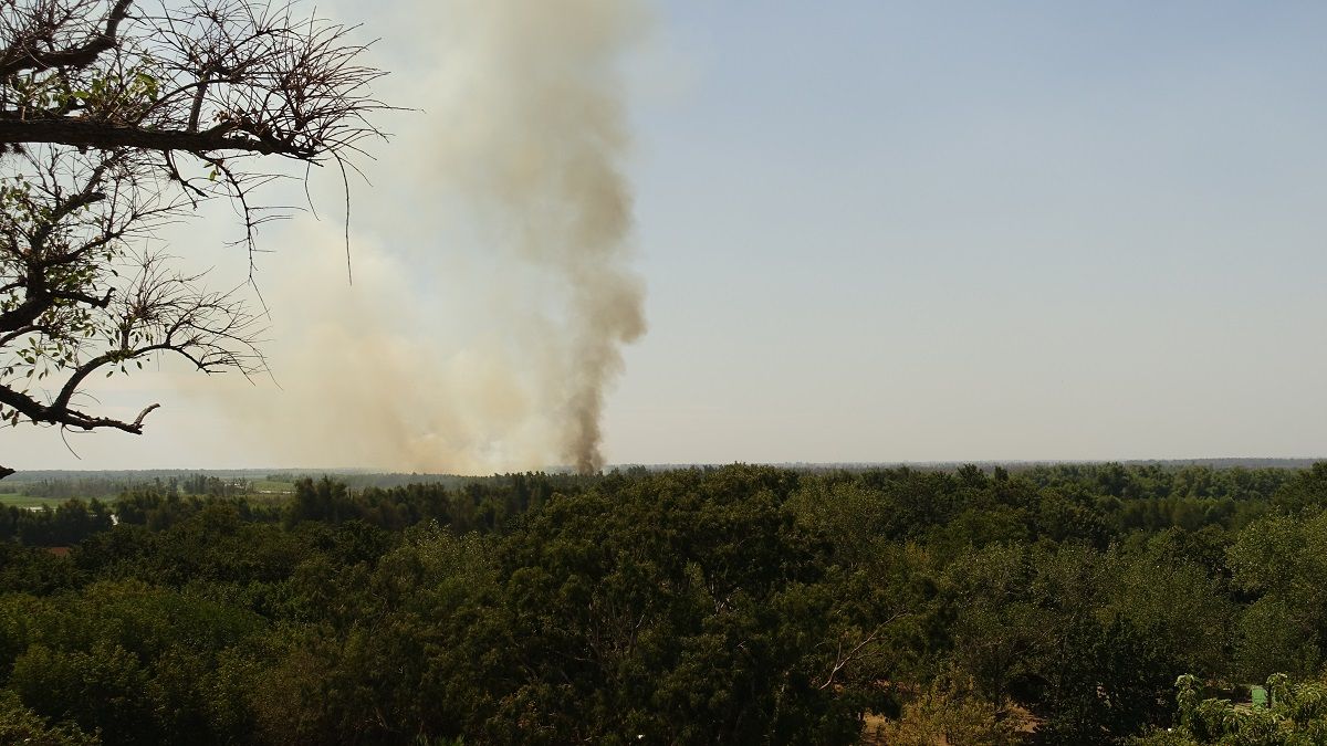 Incendios en la zona de islas: registran focos en la entrada del canal Don Pablo
