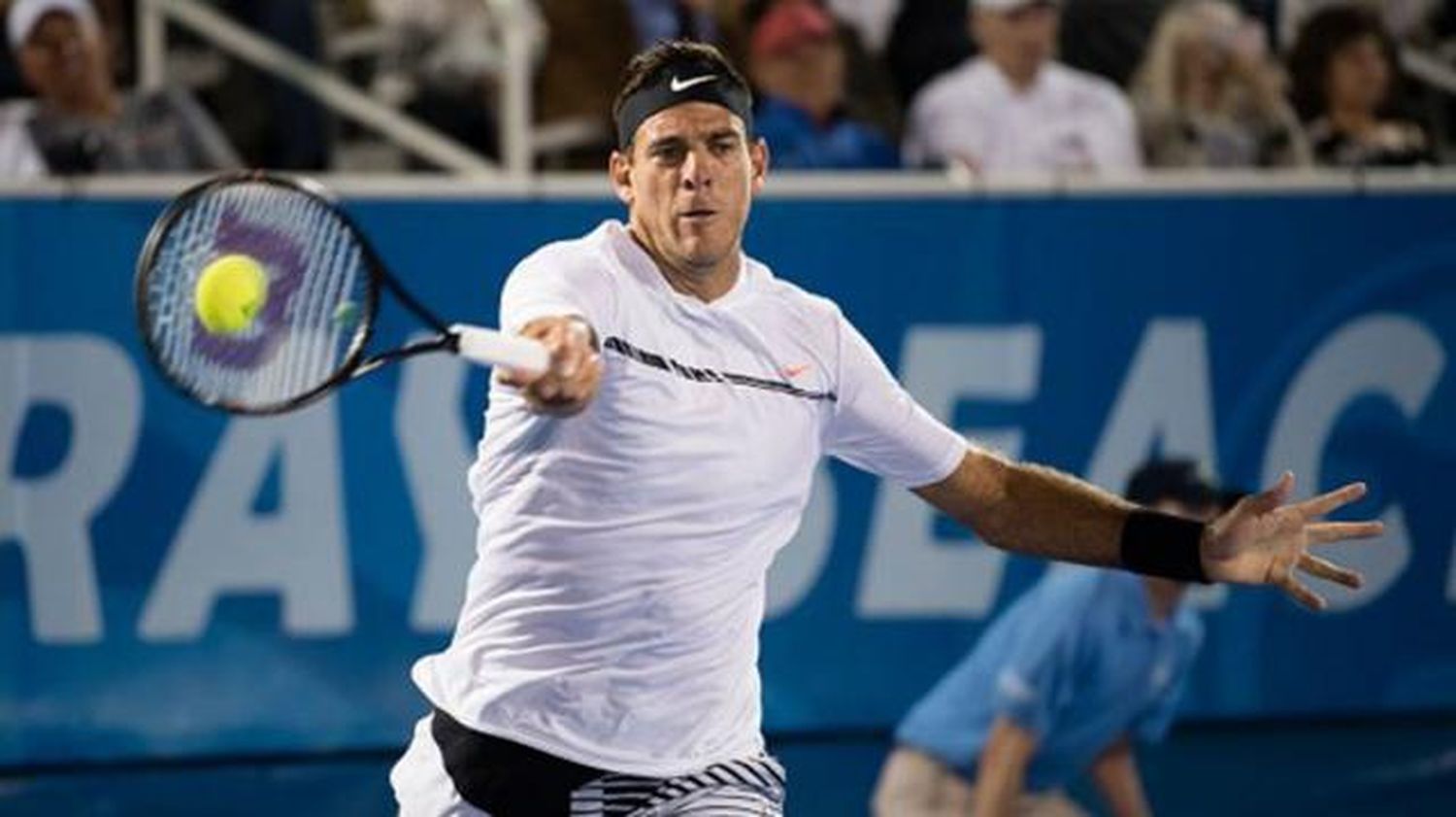 Del Potro perdió y se quedó sin final