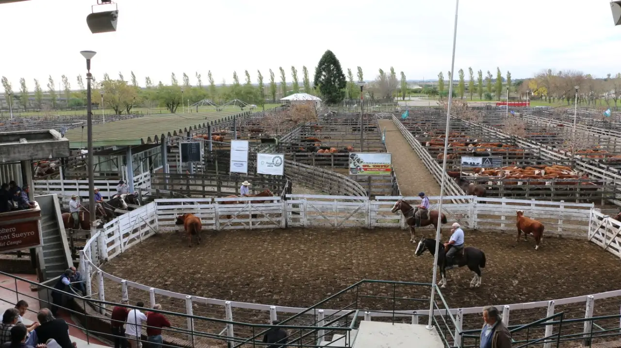 Por el brote de coronavirus, este año la Expo  Rural se reconvierte en una Exposición Ganadera