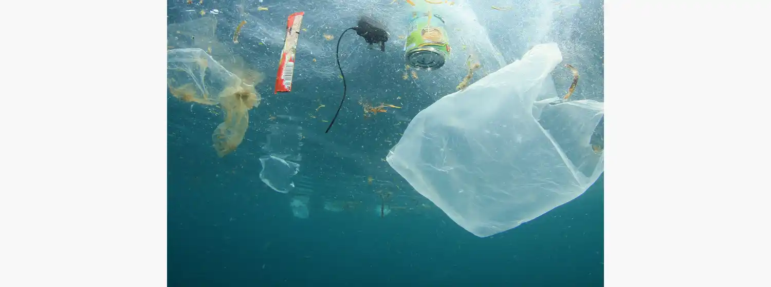Alertan que los residuos plásticos ya contaminaron "todos los rincones de los océanos"