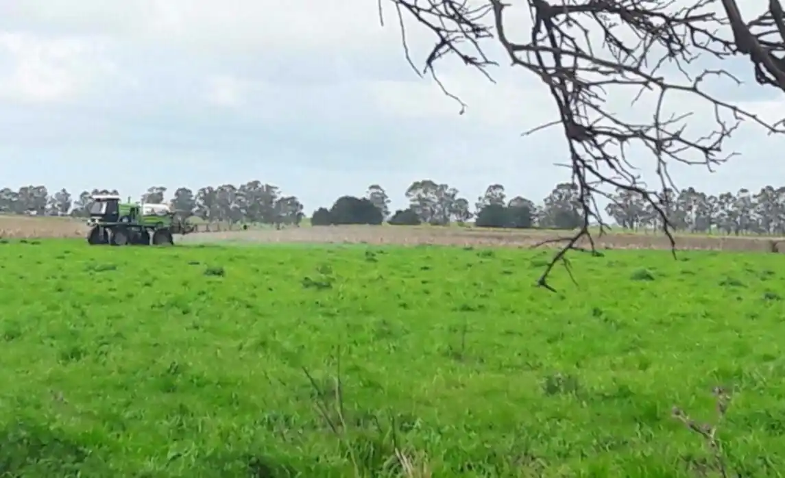 El procurador avaló la constitucionalidad del decreto 2239/19 y sugirió consultar a productores