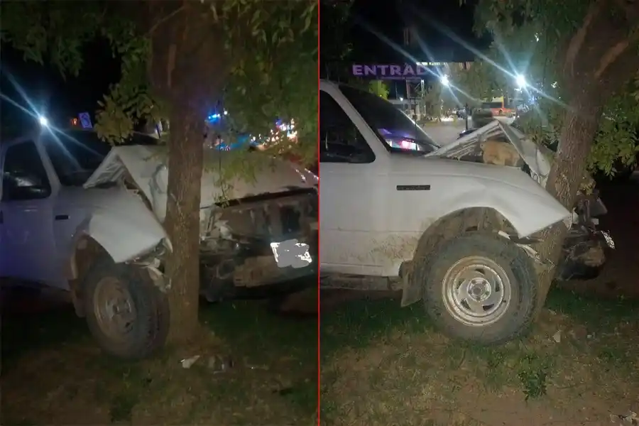 Conductor destrozó su camioneta al chocarla contra un árbol en Gualeguay