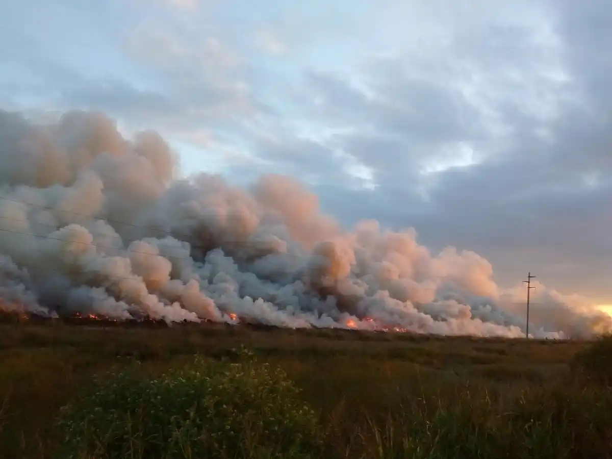 Anuncian que fue controlado el incendio en Devoto