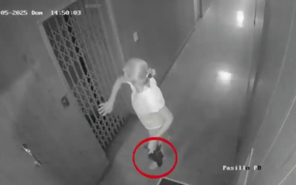 Una de las imágenes captadas por las cámaras del edificio, que captaron el accionar de la encargada.