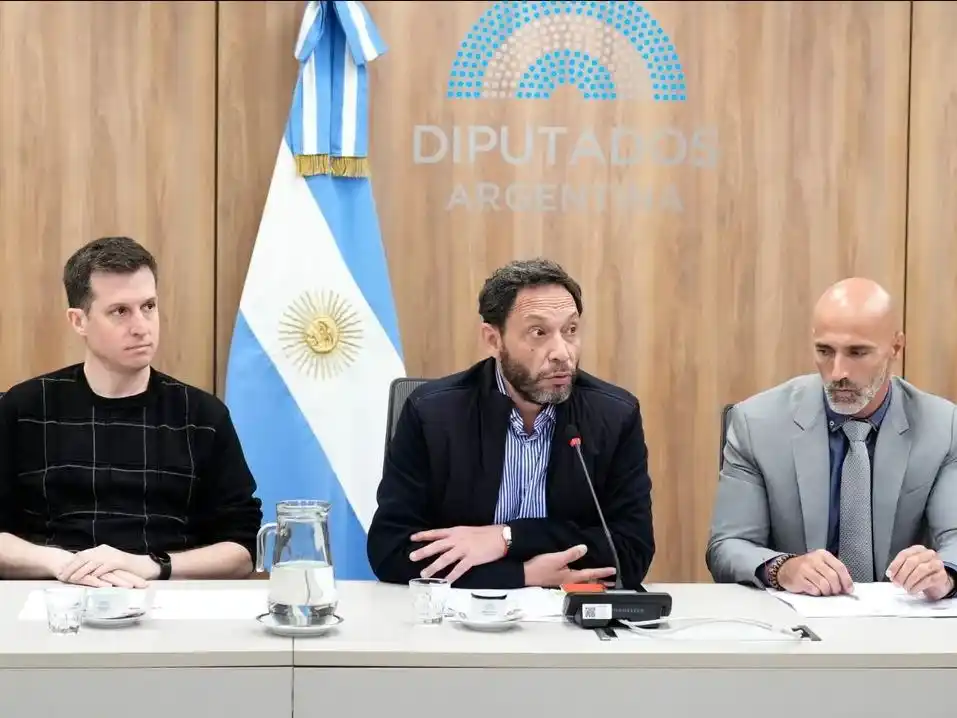 Diputados apelará tras la decisión de no traer por la fuerza a Karina Milei