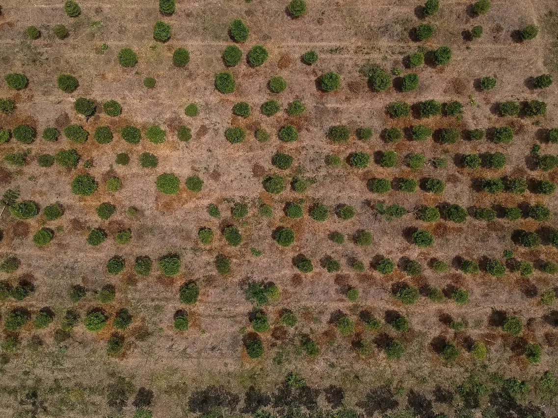 Colombia entra en alerta temprana por posible regreso del fenómeno de El Niño