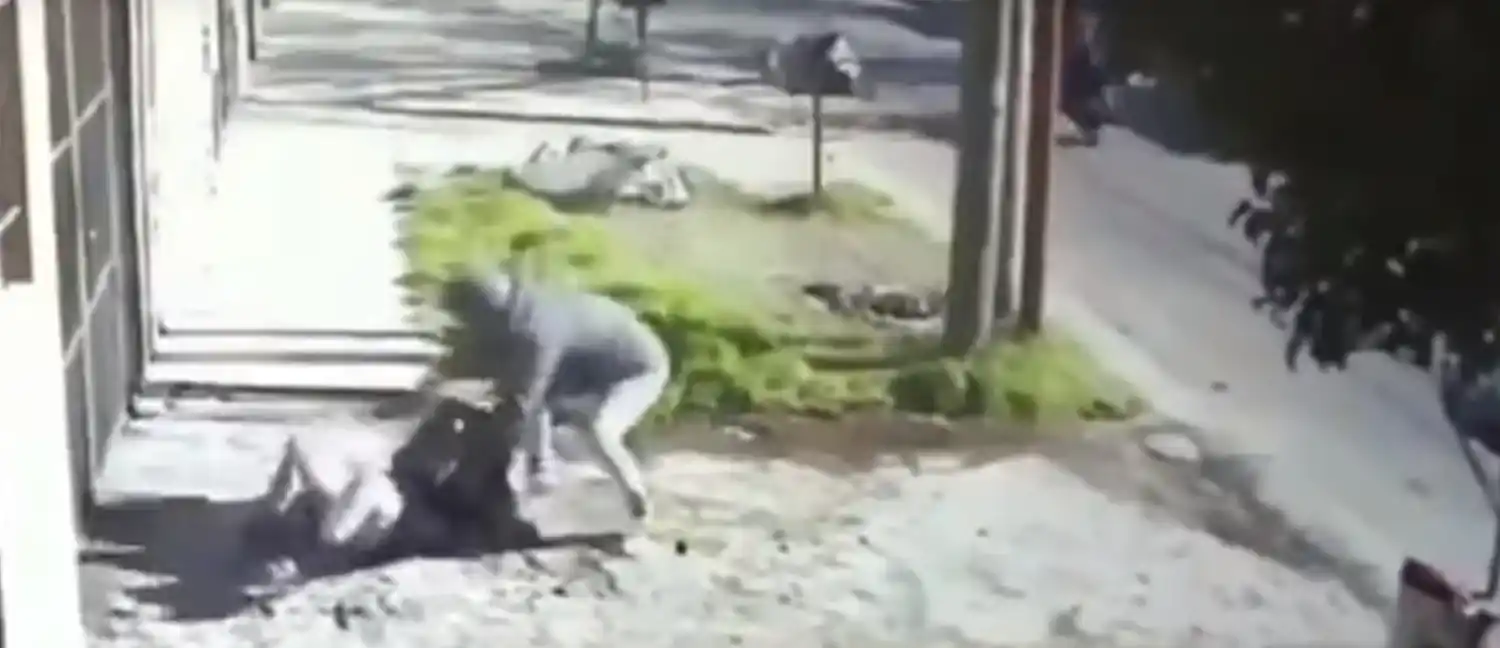 Video brutal: motochorros golpearon y arrastraron a mujer para robarle la cartera