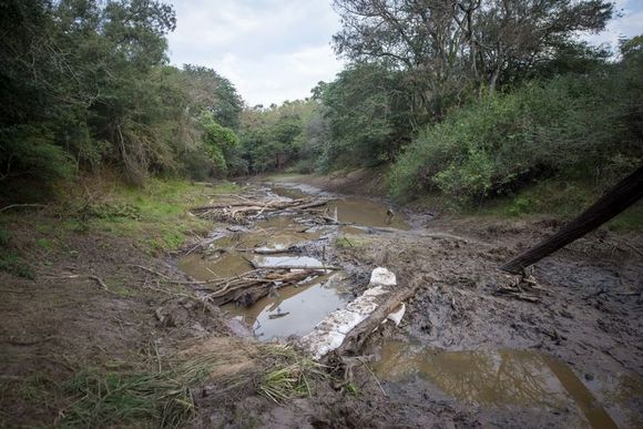 Encontraron más restos óseos cerca del campo del clan Sena