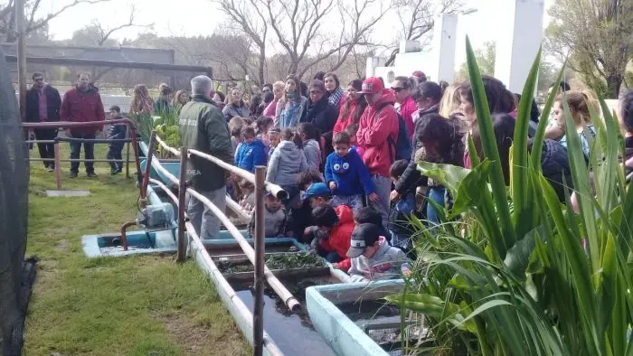 Escuelas y jardines visitan la Estación de Piscicultura