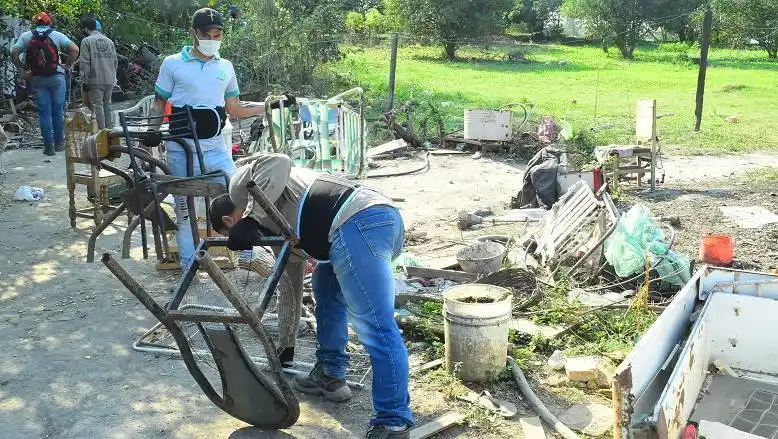 Dengue: con la aplicación de larvicidas se 
apunta a controlar la fase de larva del mosquito