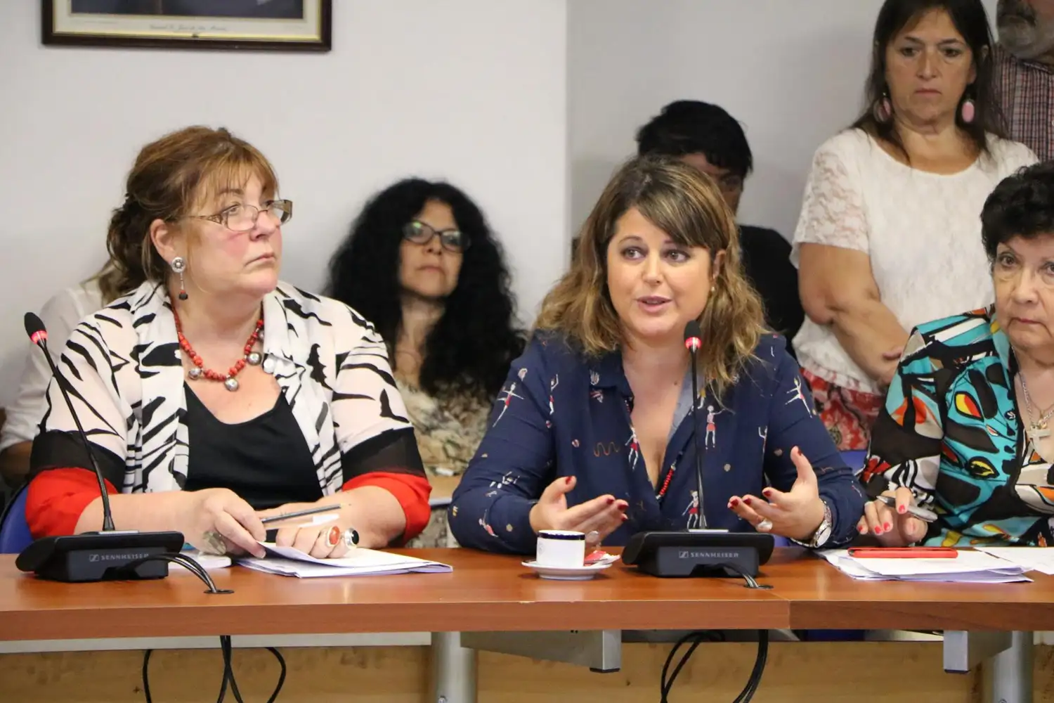 Entrerriana presidirá la Comisión de Salud en Diputados 