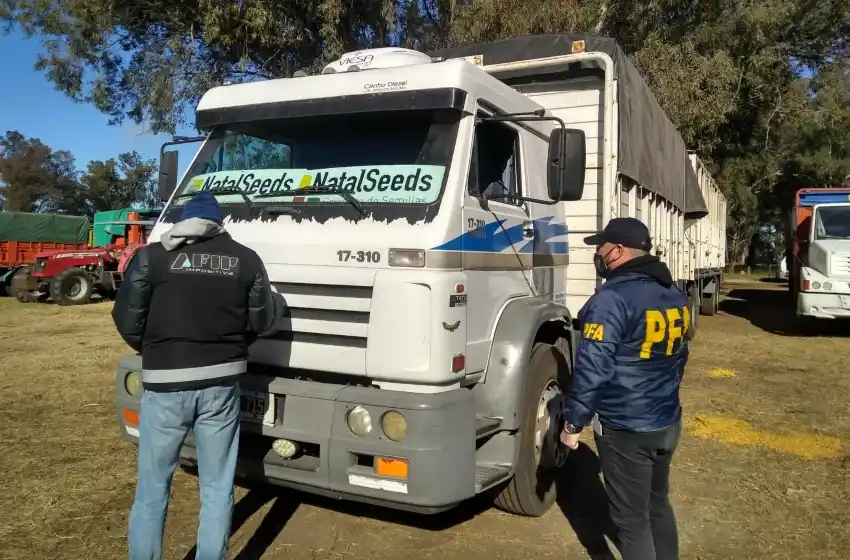 Incautan casi 1000 toneladas de granos de maíz