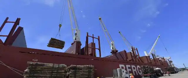 Desde Concepción del Uruguay, la provincia exporta 20.000 toneladas de madera a China