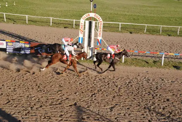 Turf: “Trencero” fue el más rápido en la última carrera del 2012