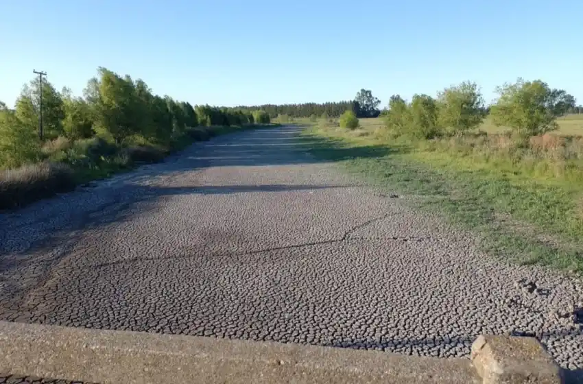 Sequía: mejora la situación en la provincia, según una organización internacional