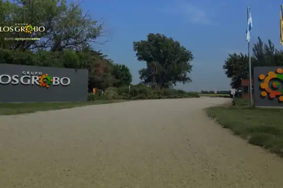 Los Grobo Informan al Gobierno que no podrán pagar una deuda de USD 10 Millones"