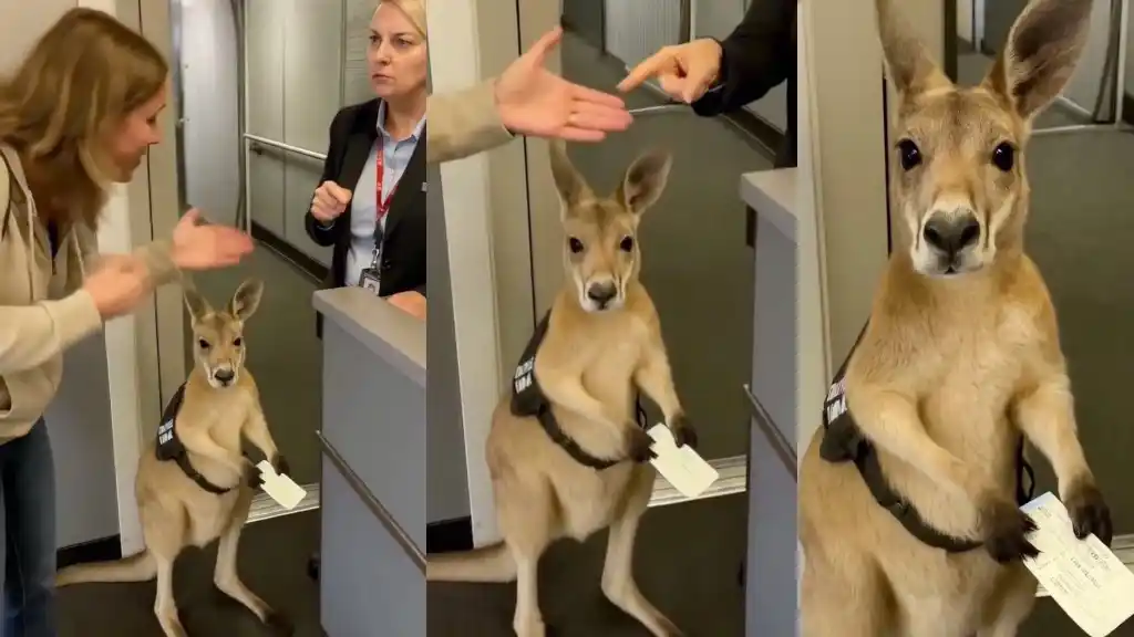 “El fin de la realidad tal como la conocemos”: el video viral que resultó ser creado con IA