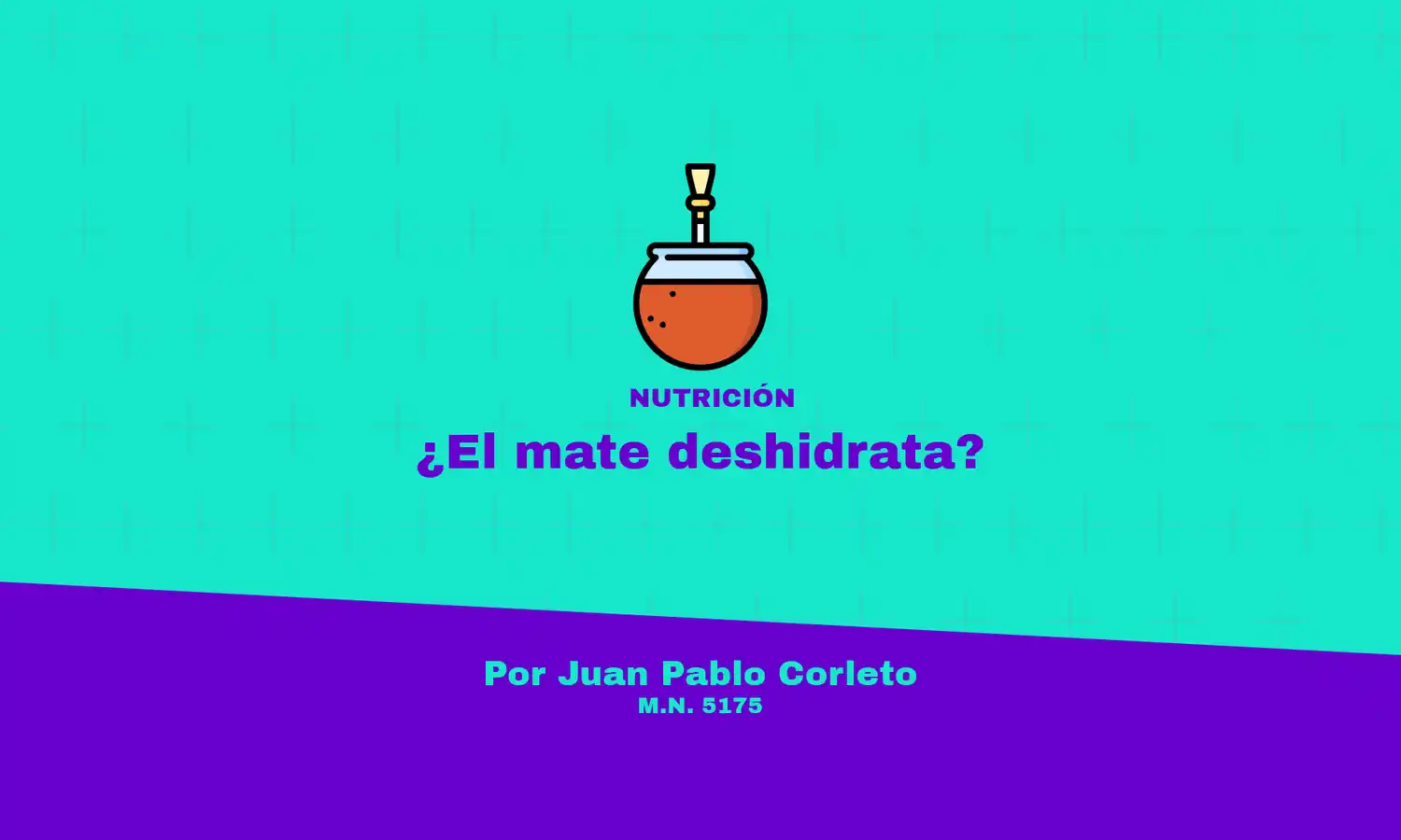 Mate e hidratación: Desmitificando las propiedades de un legado ancestral